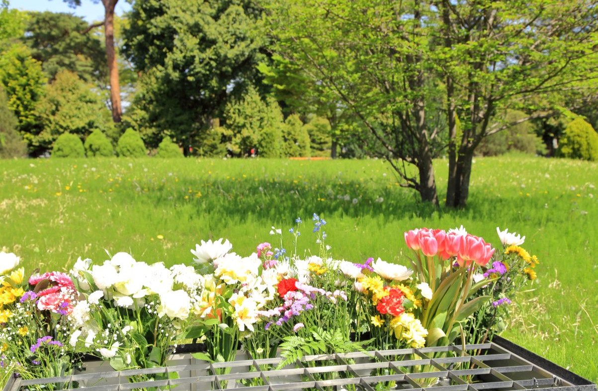 供えられた花々