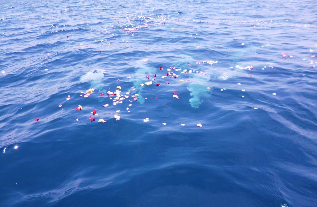 海への散骨の様子